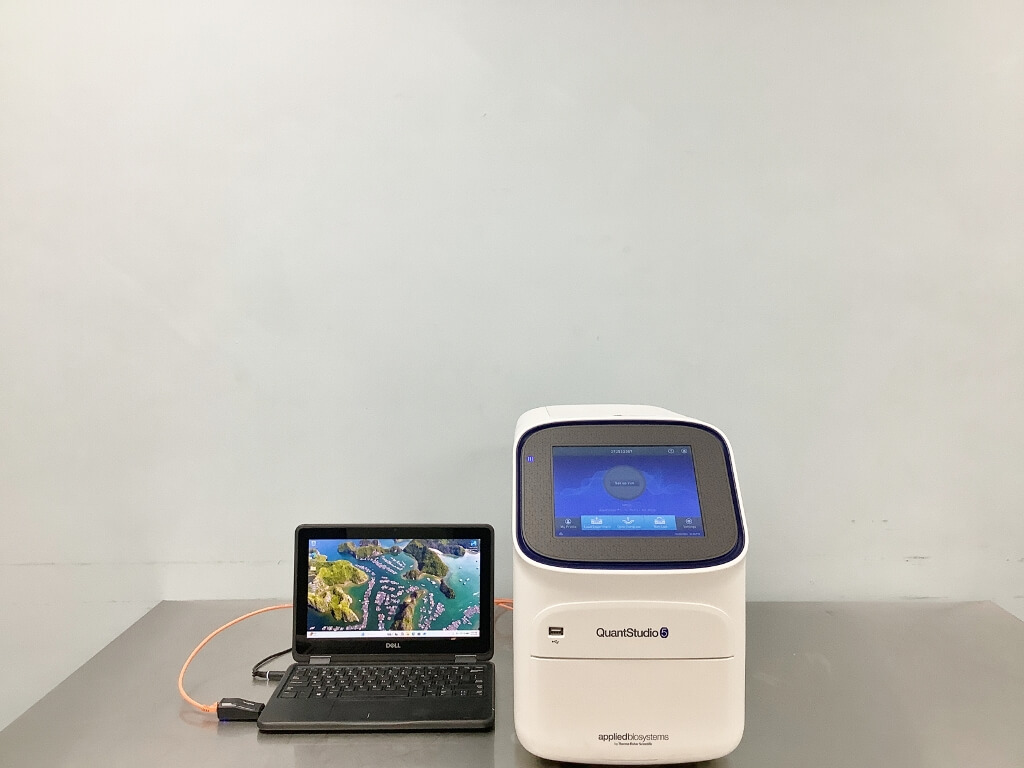 QuantStudio 5 Real Time PCR - The Lab World Group