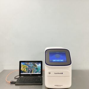 Quantstudio 5