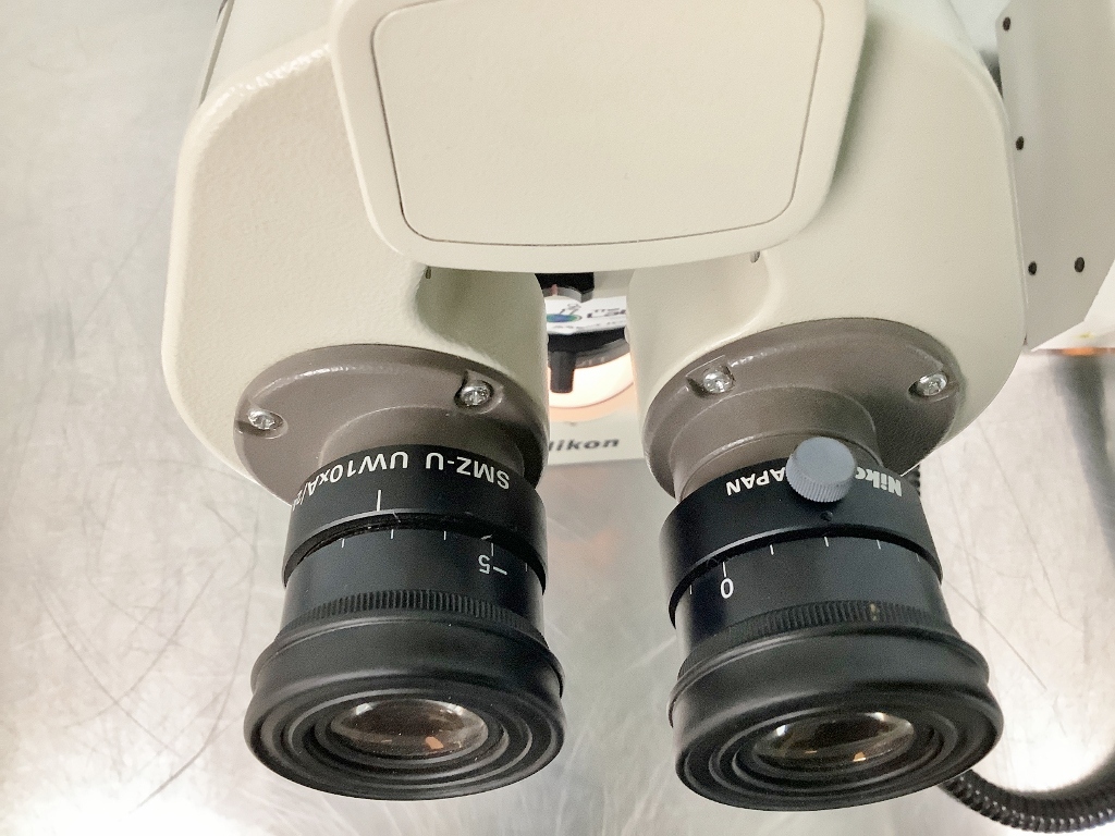 Nikon SMZ-U Stereo Microscope - The Lab World Group
