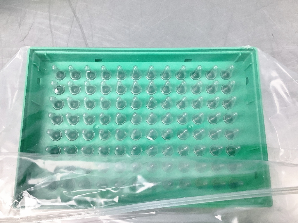 Core Shell Pcr Biorad Hard Shell PCR Plates - The Lab World Group