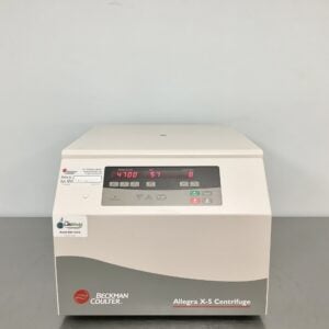 Allegra x 5 video