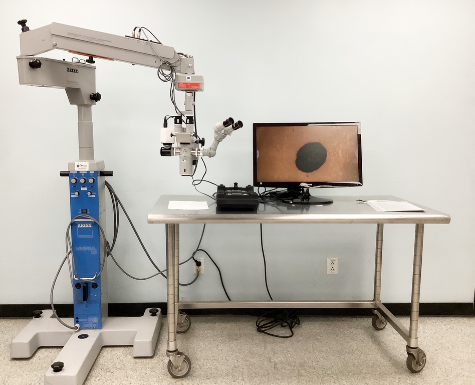 Microscopes Archives - The Lab World Group